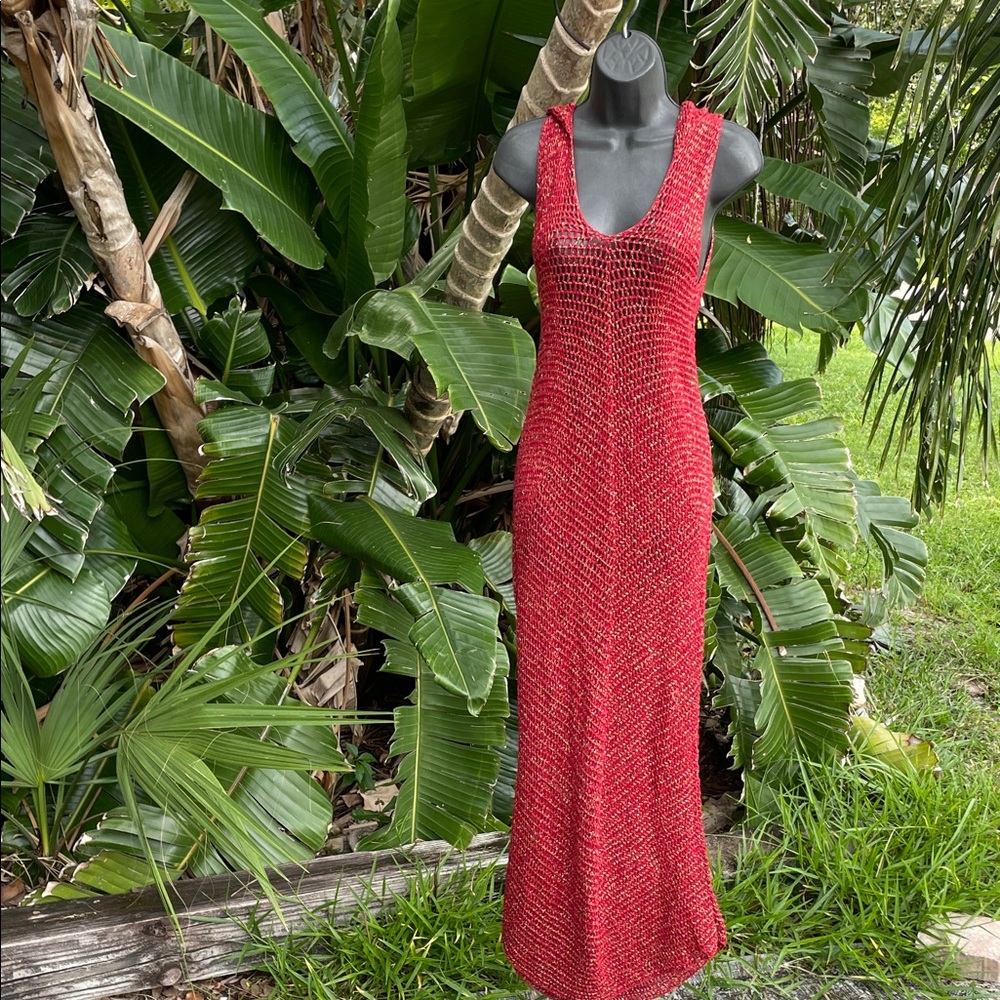 Akoia gold, and red crochet sheer dress with hood